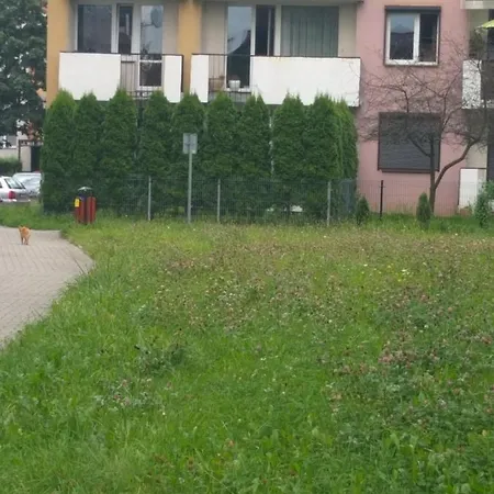 Apartament Z Ogrodem Tychy Exterior photo