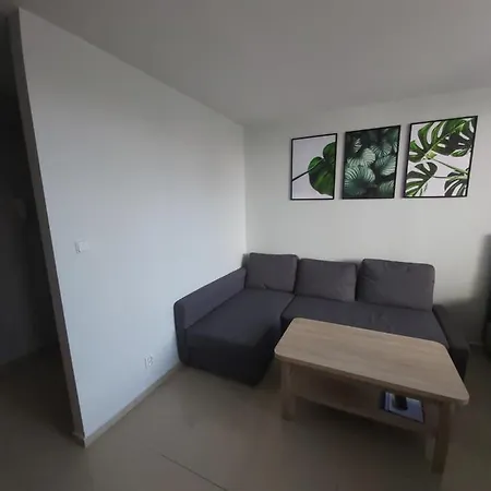 Apartament Z Ogrodem Tychy Exterior photo