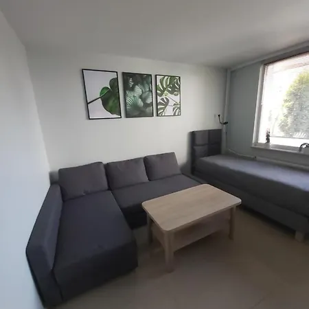 Apartament Z Ogrodem Tychy Exterior photo