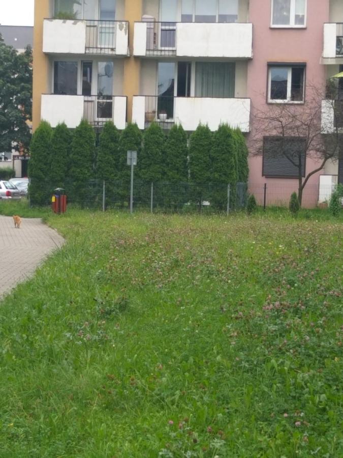 Z Ogrodem * Tychy